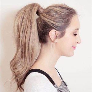 Hair Ponytail